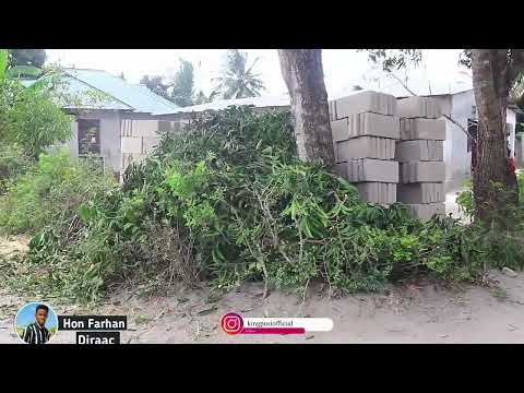 Basadiir Filimkii Schoolka Part 14 Basadiir Oo Kabaha La Dulmaray Kkk