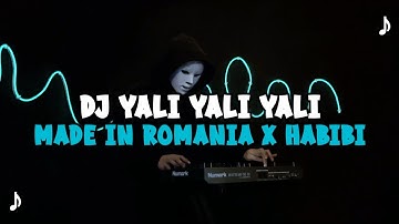 DJ YALI YALI YALI FULL BASS VIRAL TIKTOK TERBARU 2025