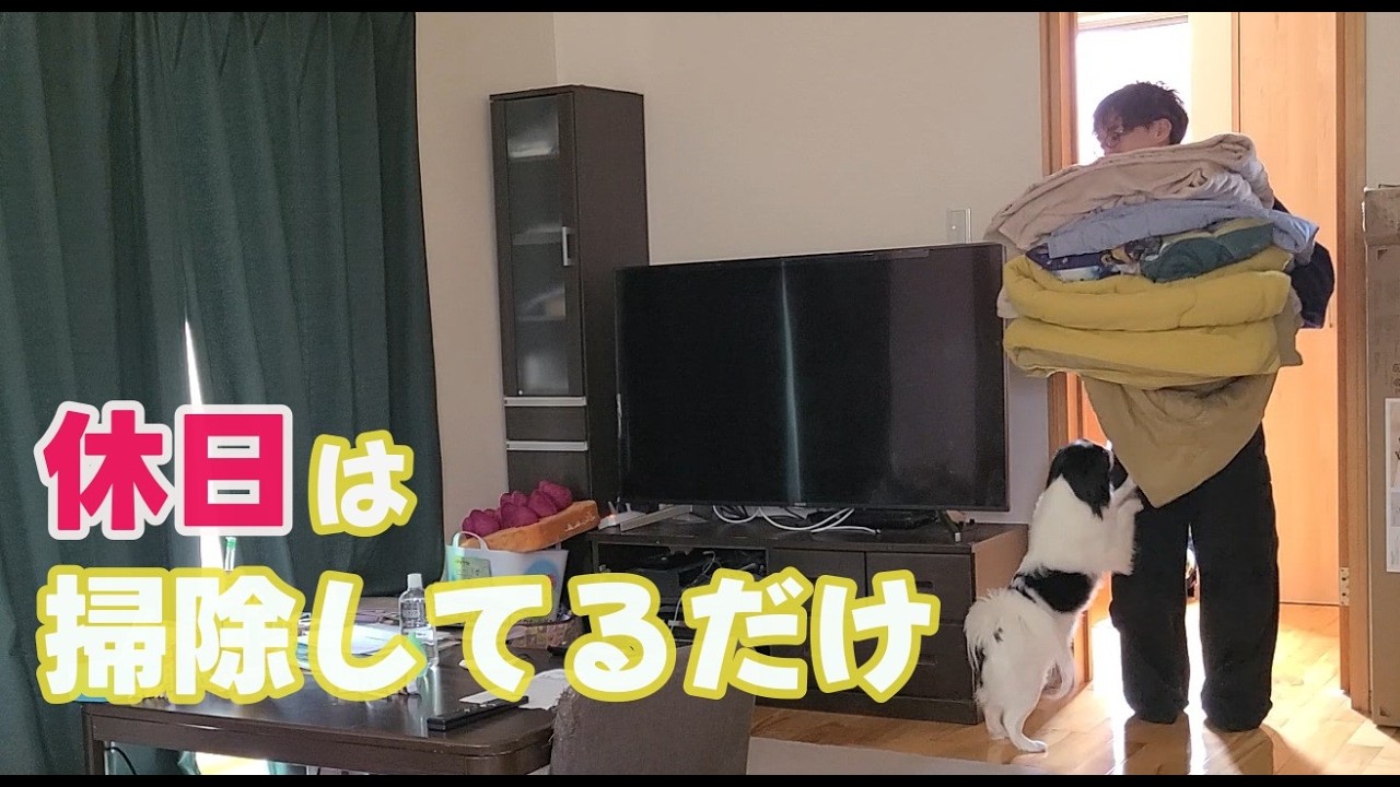 家庭訪問の日、お休みを取ってたので毛だらけの家を掃除