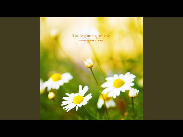 The Beginning Of Love