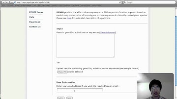 Hui Guo - Prediction of Effects of Non-synonymous SNP...