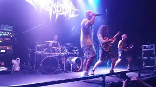 Archspire - Golden Mouth of Ruin (2023 Live at Lions Art in Adelaide, South Australia)