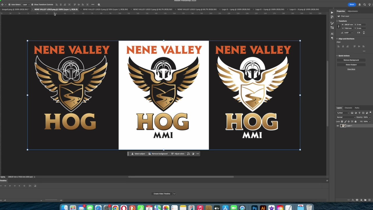 Logo Design Process - Nene Valley Harley Chapter (Roman History Meets Modern Design)