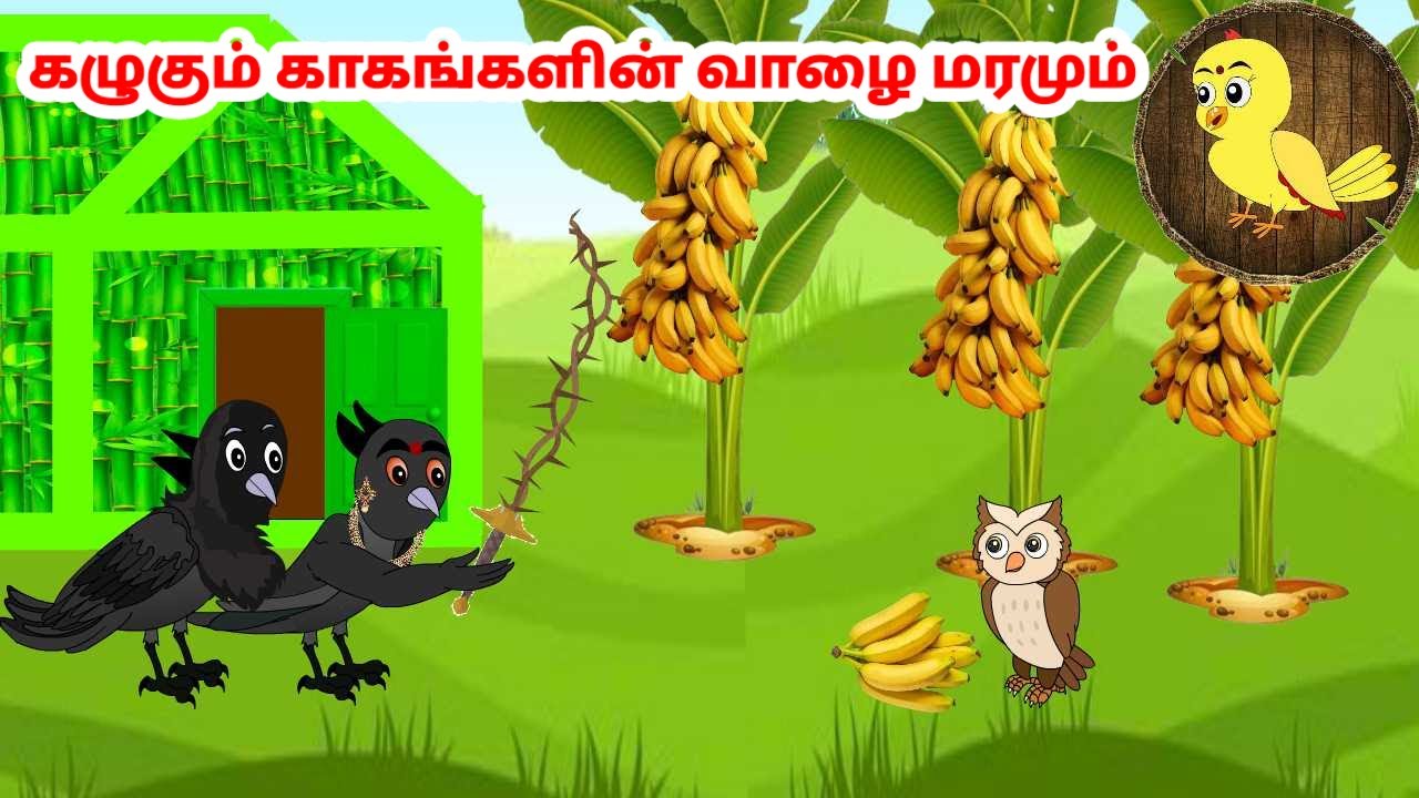 கழுகு கார்ட்டூன் | Feel good stories in Tamil | Tamil moral stories | Beauty Birds stories Tamil