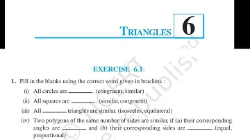 Triangles Exercise 6.1 class 10 || #maths
