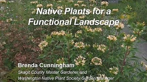 "Native Plants for a Functional Landscape" by Bren...
