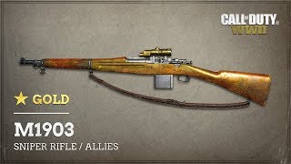 Call of Duty®: WWII _ COD WW2 _ M1903 Springfield Gold Camo Done
