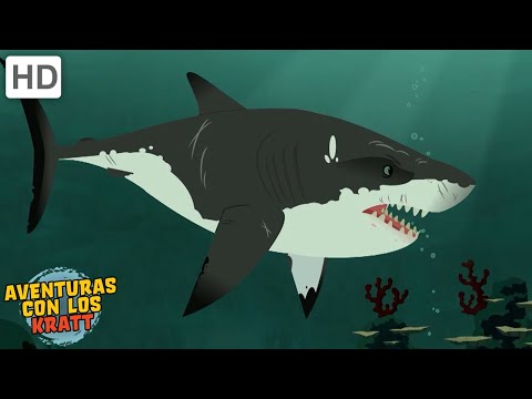Criaturas acuáticas | Tiburones, cocodrilos + más! [episodios completos] Aventuras con los Kratt