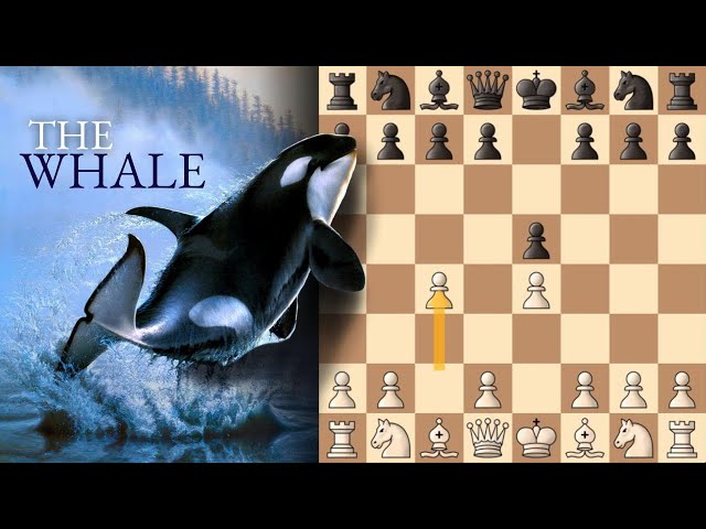 Whale Milk on X: Boutta play a game of chess with one of each piece and a  *really* elaborate pawn / X