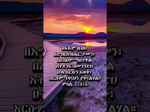 በፍፁም ልብህ በእግዚአብሔር ታመን December 31 2024