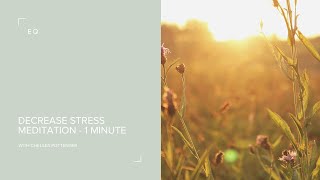 1 minute Meditation for Stress ✨