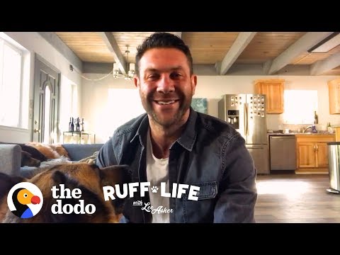 Lee Explains the Psychology of Penny's Indoor Poop Incident | Ruff Life With Lee Asher - Lee Explains the Psychology of Penny's Indoor Poop Incident | Ruff Life With Lee Asher