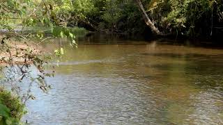 795 South Harpeth Rd Kingston Springs, TN 37082 795 South Harpeth Rd Kingston Springs, TN 37082