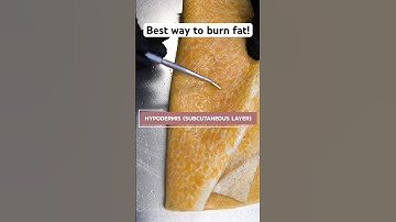 Best Way to Burn Fat!