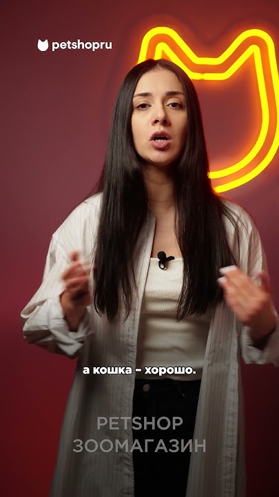 Почему кошки любят заходить и сидеть в квадрате? #котики - YouTube