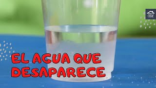 El agua que desaparece // Actividades de ciencia para niños