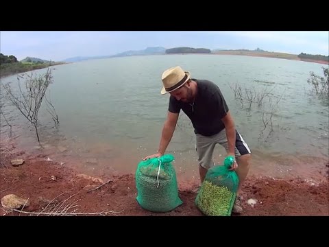 DICAS de PESCA ceva para represa( APRENDA  a CEVAR)