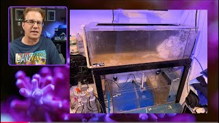 Rock for Aquascaping and biological benefits