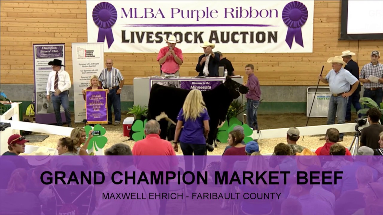 2018 Minnesota Purple Ribbon Livestock Auction YouTube