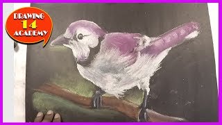 Love Bird SOFT PASTEL screenshot 3