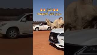 الكنق الطهيمي