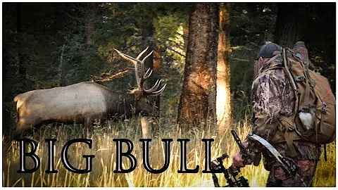 NEW MEXICO ARCHERY ELK HUNT | SECOND SEASON | THE COMEBACK Episode 2