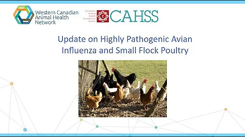 Update on Highly Pathogenic Avian Influenza (HPAI) and Small Flock Poultry