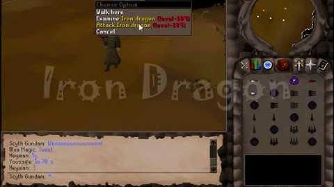Runescape Killing Random Monsters