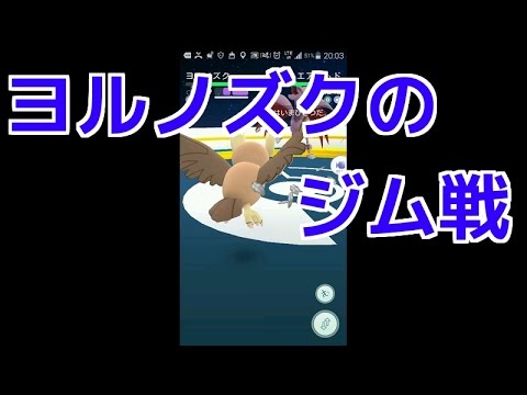 ポケモンgo実況 ヨルノズクのジム戦 Youtube
