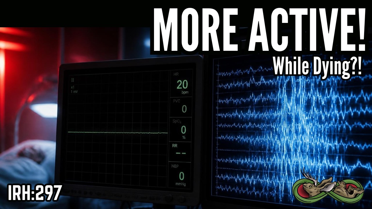 Dying Brains Just Showed MORE Activity Than Awake Ones - IRH 297
