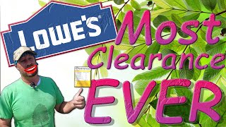 Lowes Clearance Plant Shopping ( The Most Clearance Ever )