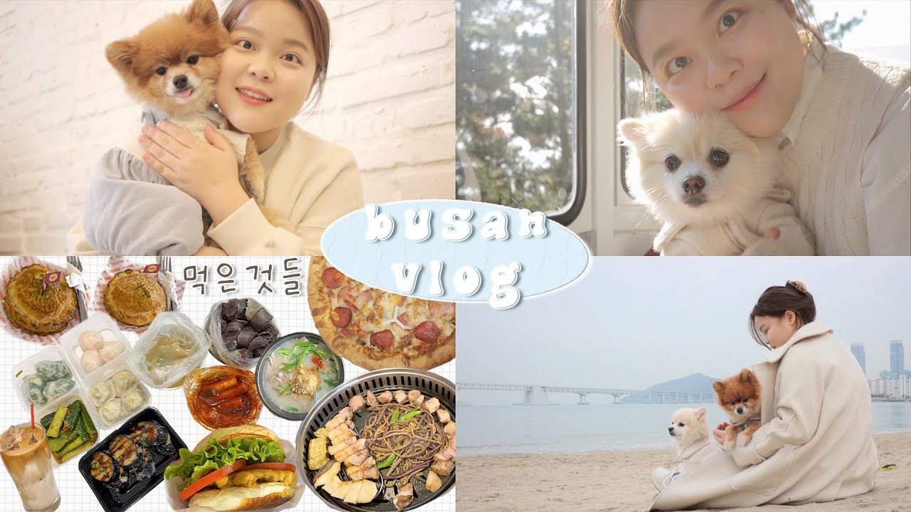 사람 둘, 강아지 둘! 강아지랑 부산 여행🌊  | 여행 브이로그