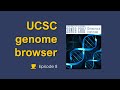 Maitriser ucsc en gnomique mdicale  ep 8  extraire des donnes ducsc  le table browser