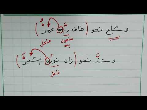 وشاع نحو خاف ربه عمر وشذ نحو زان نوره الشجر