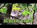 Big Ohio Buck at 10 Yards! -- Breaking Down My First Week of Deer Hunting