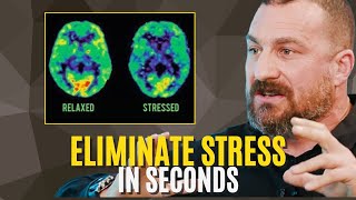 Neuroscientist: How to NEVER Feel Stressed Again | Andrew Huberman