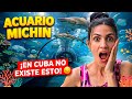 Cubana reacciona AL ACUARIO MICHIN (CDMX)🇲🇽 Cuba está lejos de esto 😞