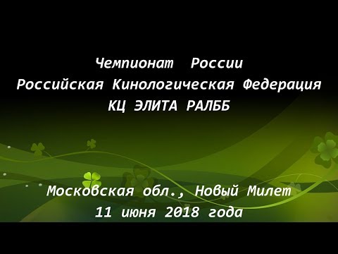 Чемпионат России по бегам борзых 2018. Первый блок, второй круг.