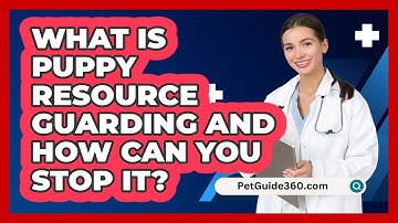 What Is Puppy Resource Guarding And How Can You Stop It? - PetGuide360.com