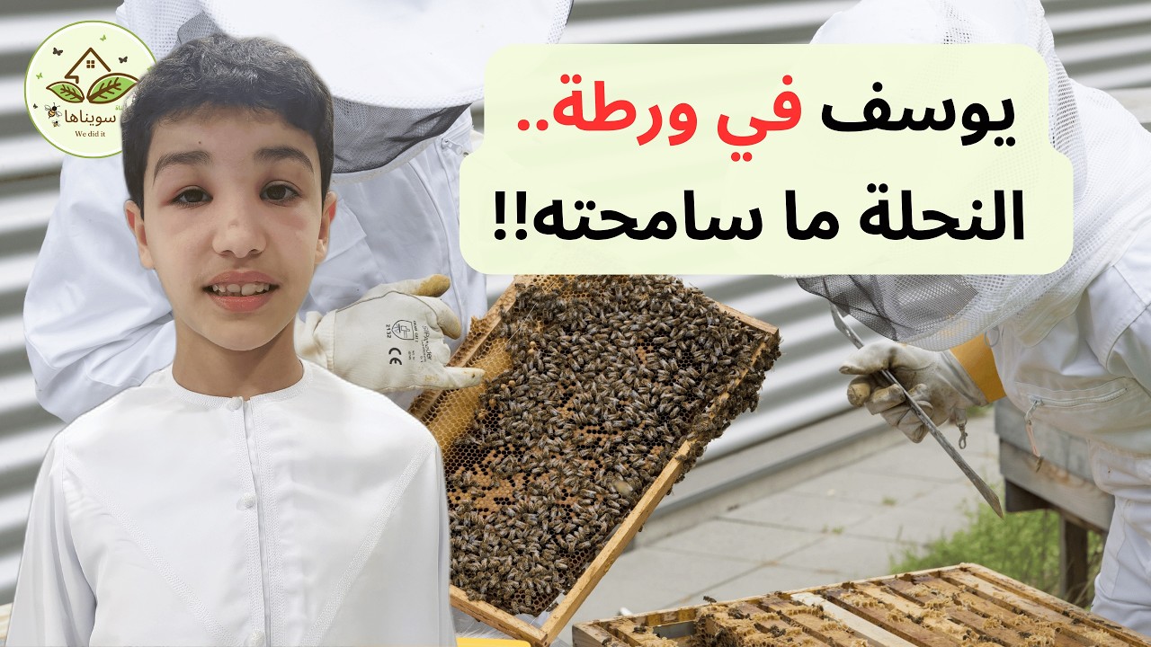 تربية النحل فالبيت؟ التجربة الثانية (10)Beekeeping Honey Bee Natural Honey