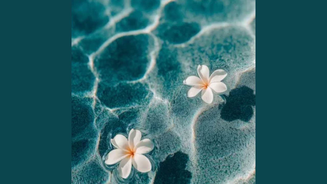 Watch SWIM on YouTube Watch SWIM on YouTube