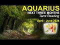 AQUARIUS NEXT THREE MONTHS "THE BEST IS YET TO COME AQUARIUS" April to June 2024 #tarotreading