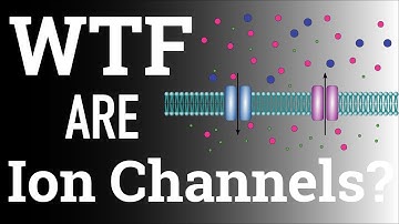 Ion Channels Explained Simply