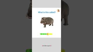 Animal Name English vocabulary✨‼️#LearnEnglishUK #viral #trending @Nice English