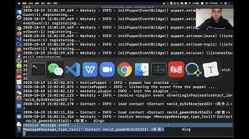 python wechaty live coding