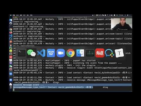 python wechaty live coding