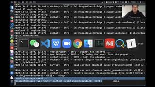python wechaty live coding