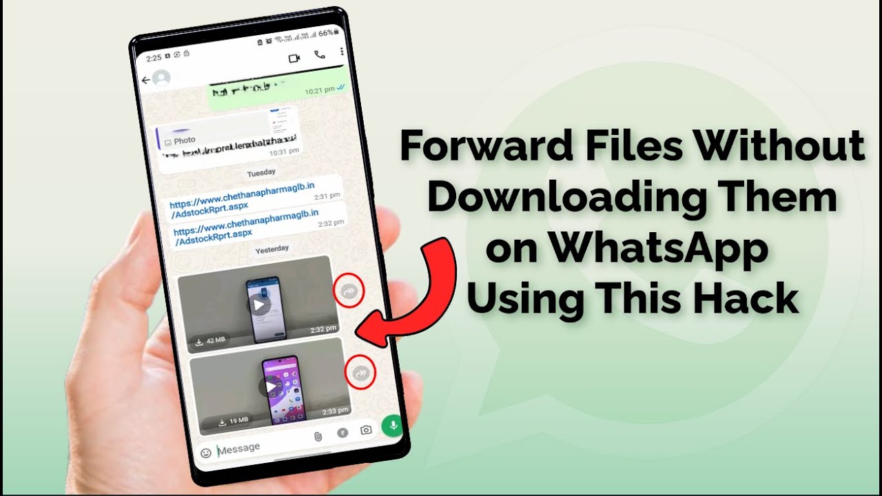 Forwarding File How to Forward Files on WhatsApp without Downloading Them - YouTube