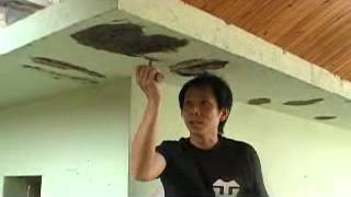 樂土-郭博士用樂土防水土膏&水泥砂漿修補剝落的天花板