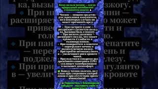 Кому нельзя чеснок: когда польза превращается во вред